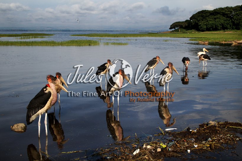 jvo_galerie_013.jpg
