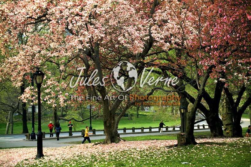 jvo_galerie_010.jpg