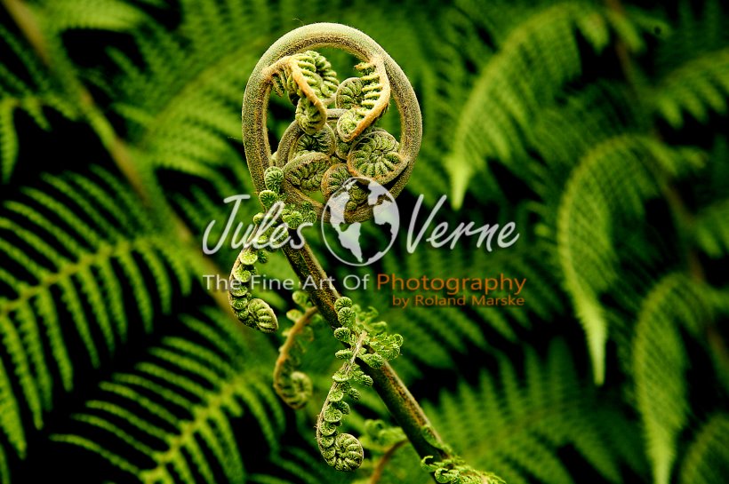 jvo_galerie_029.jpg