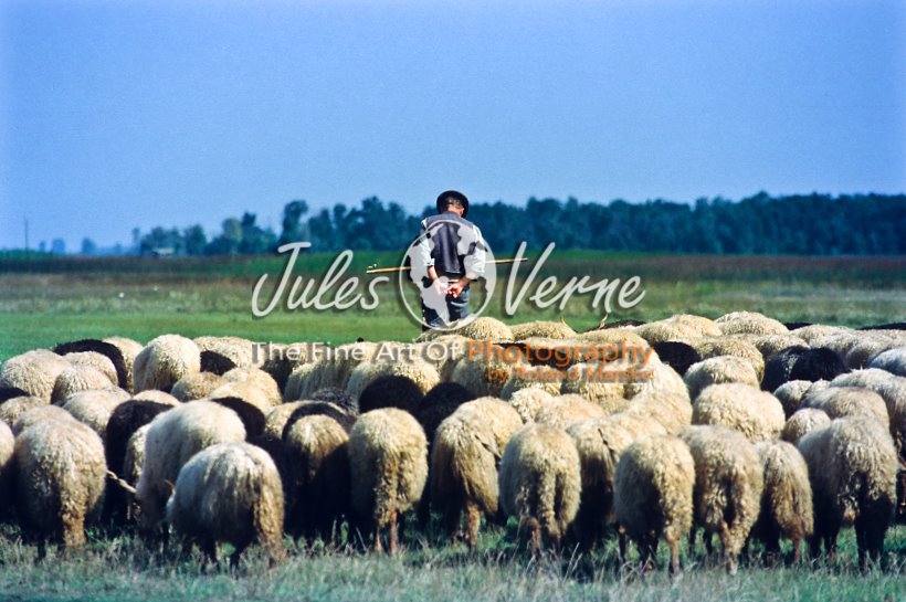 jvo_galerie_023.jpg