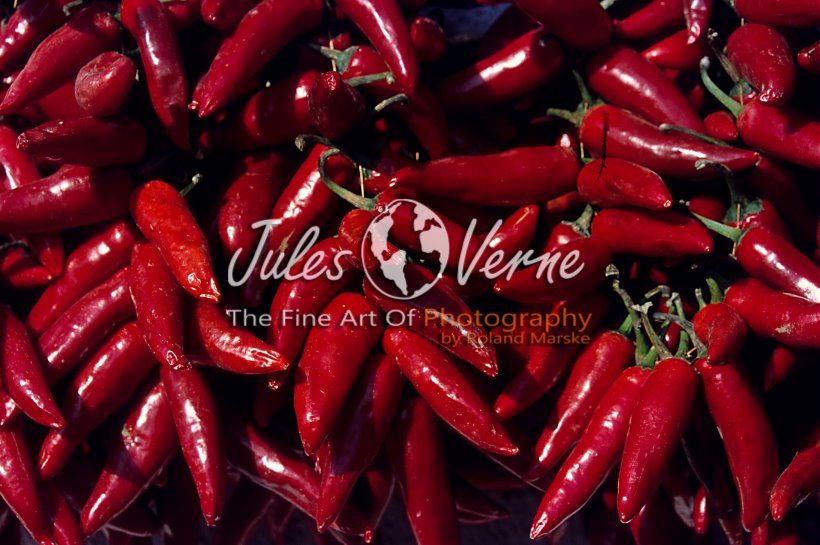 jvo_galerie_036.jpg